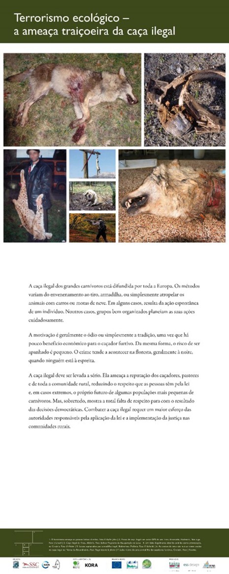 15. Eco-terrorism - the treacherous threat of illegal hunting